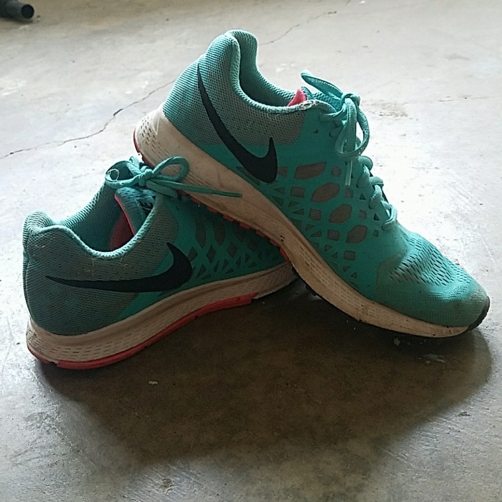 Nike Pegasus 31